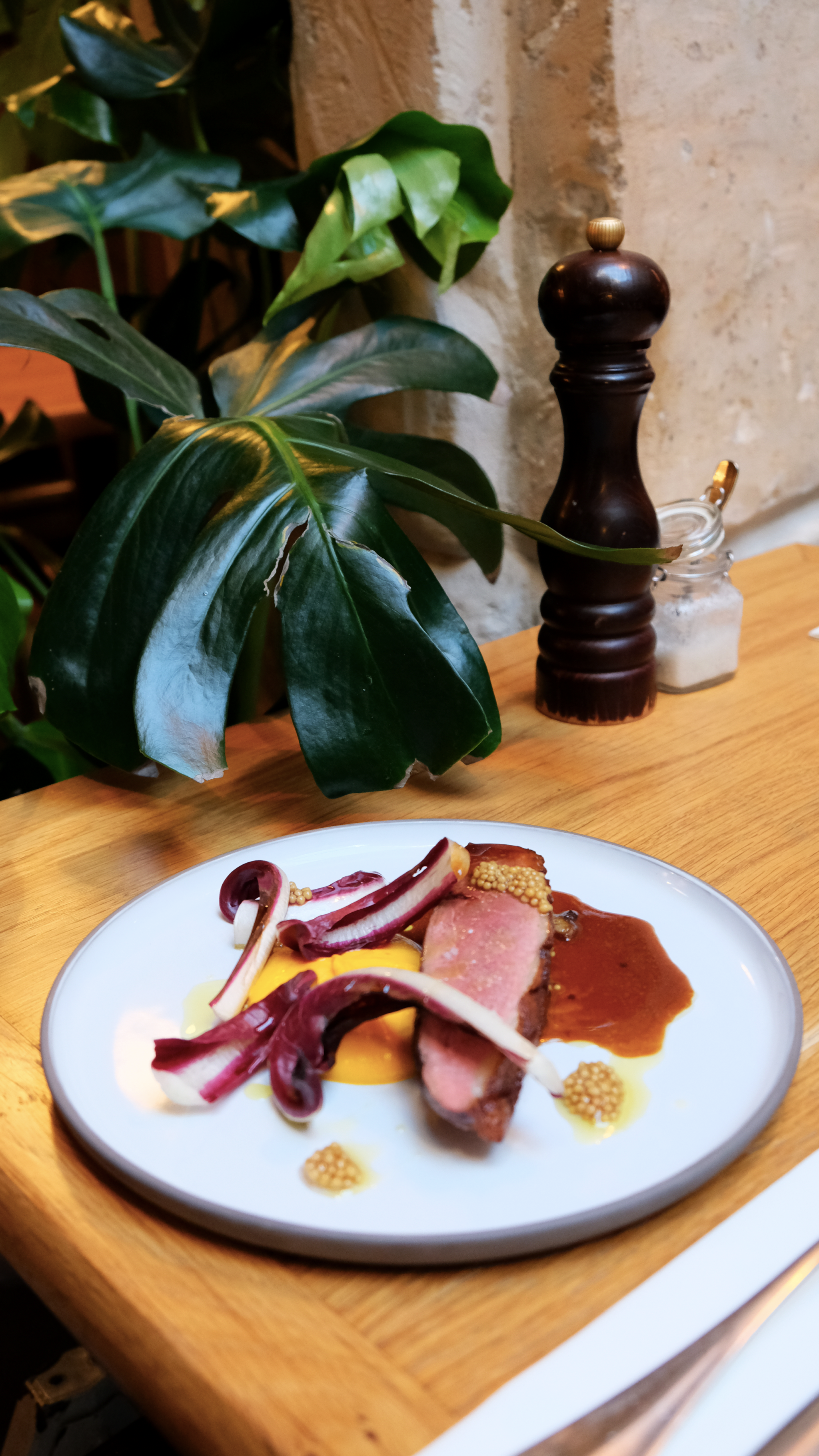 Cannette, trevise, mousseline de patate douce